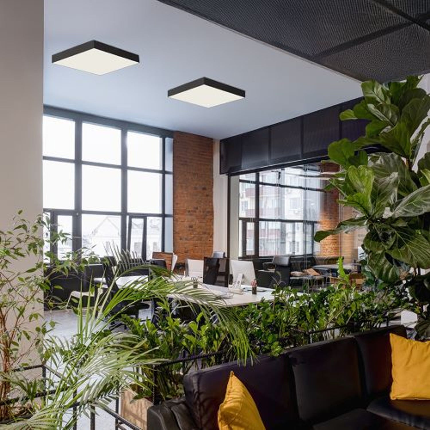 Stropne svetilke dnevna soba